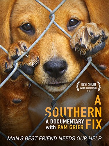A Southern Fix