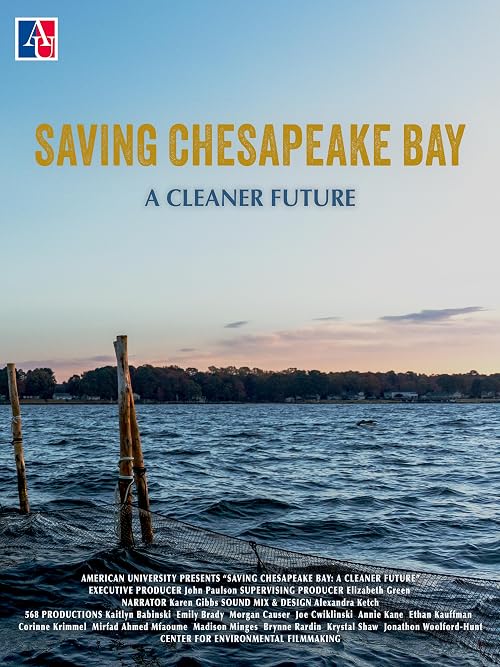 Saving Chesapeake Bay: A Cleaner Future
