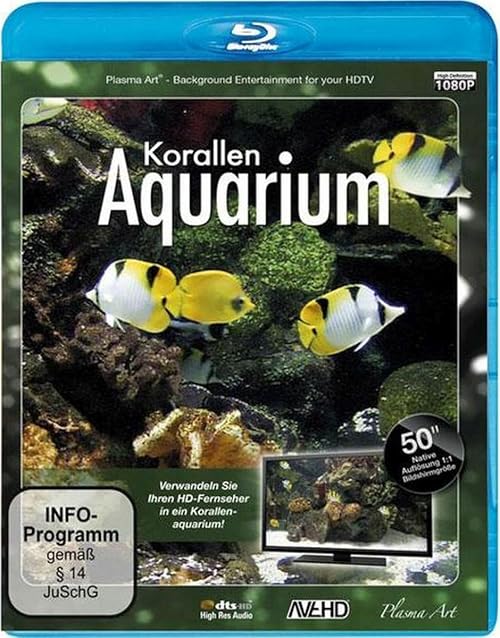 Korallen Aquarium