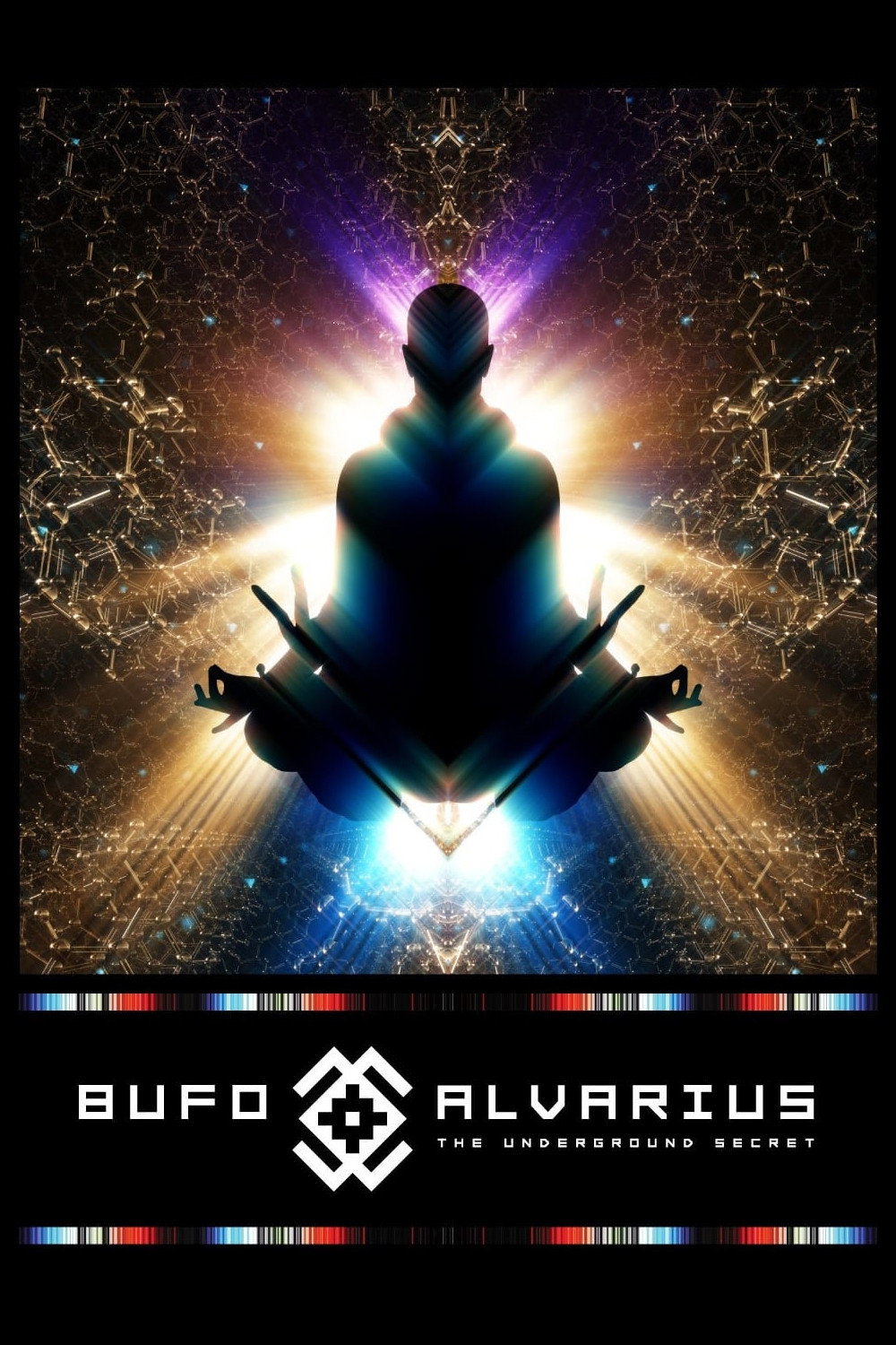 Bufo Alvarius: The Underground Secret