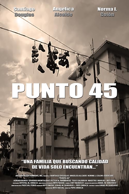 Punto 45