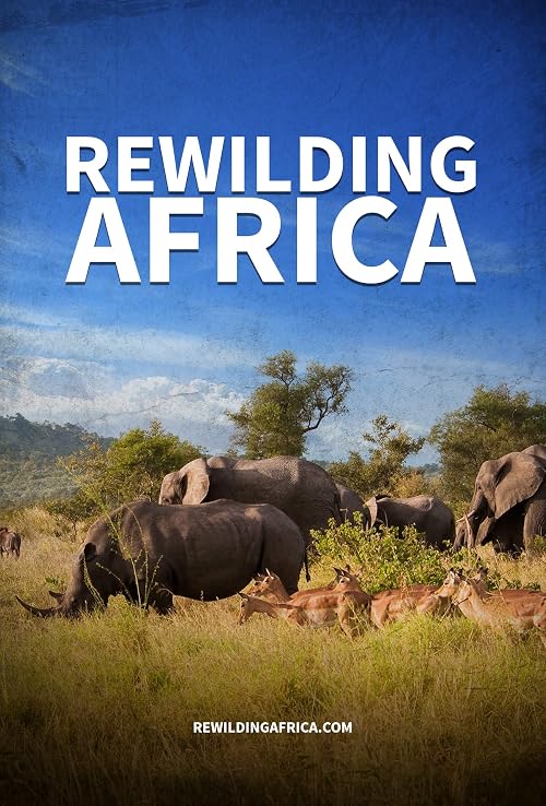 Rewilding Africa