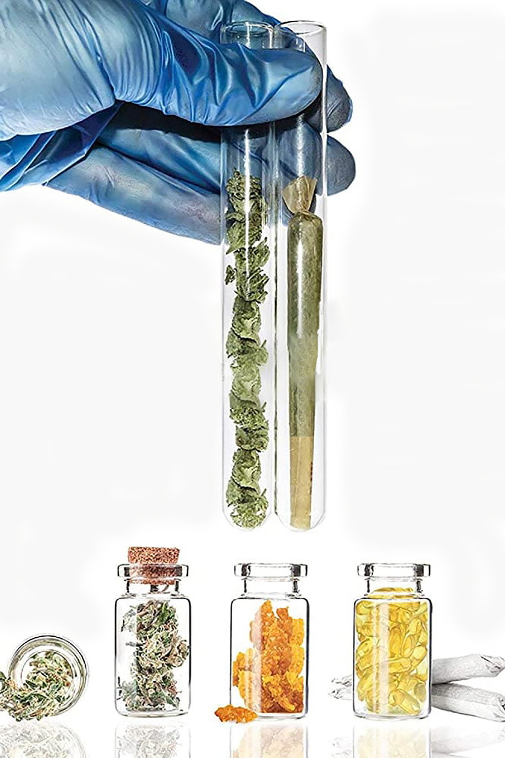 Cannabis Evolution