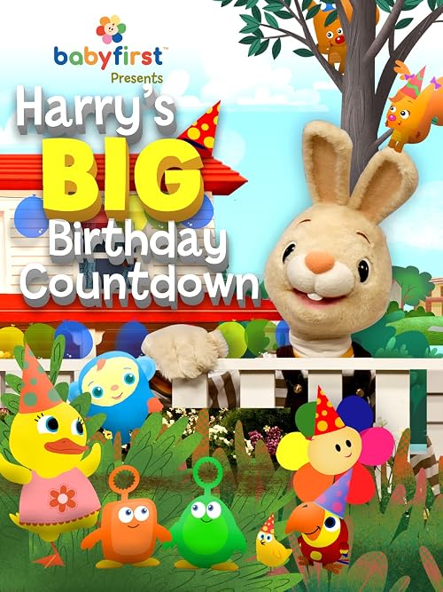 Harry's Big Birthday Countdown