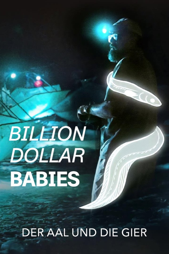 Milliarden Dollar Babies - Große Gewinne mit kleinen Aalen