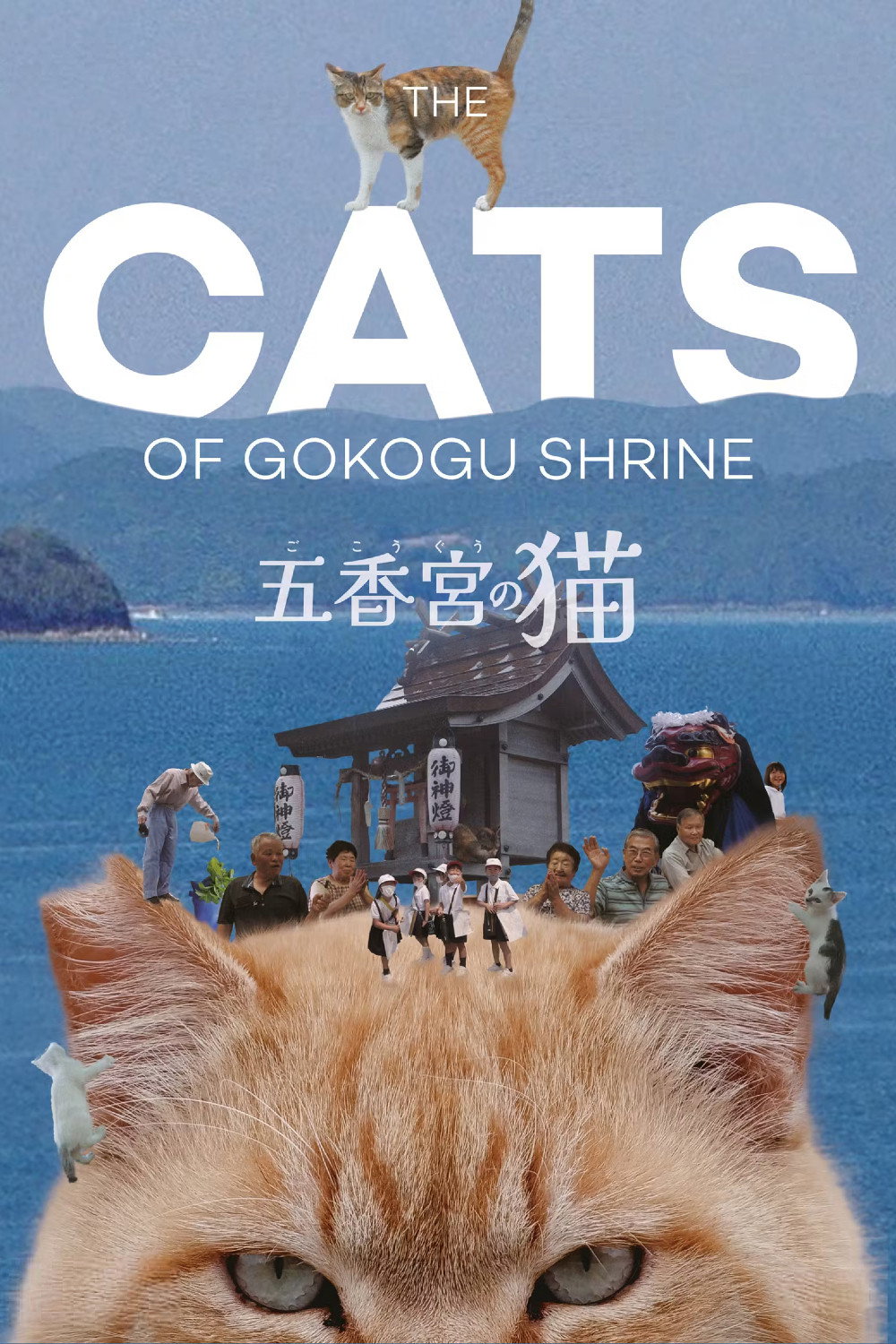 Gokogu no Neko