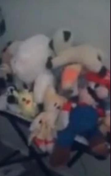 Brawl of the Plushes