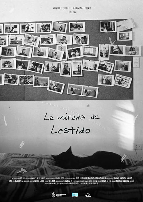 La Mirada de Lestido