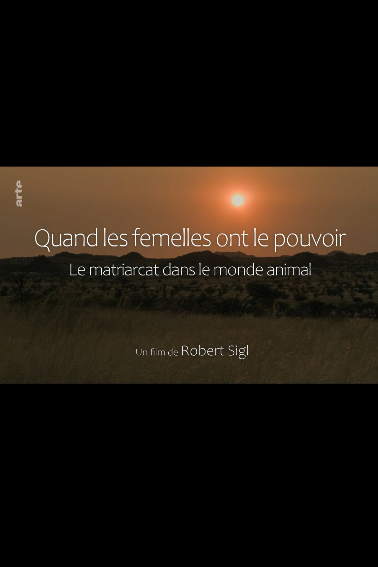 Quand les femelles ont le pouvoir - Le matriarcat dans le monde animal