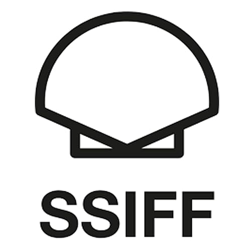 Festival de San Sebastián