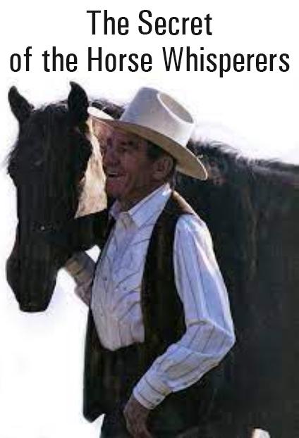 The Secret of the American Horse Whisperers