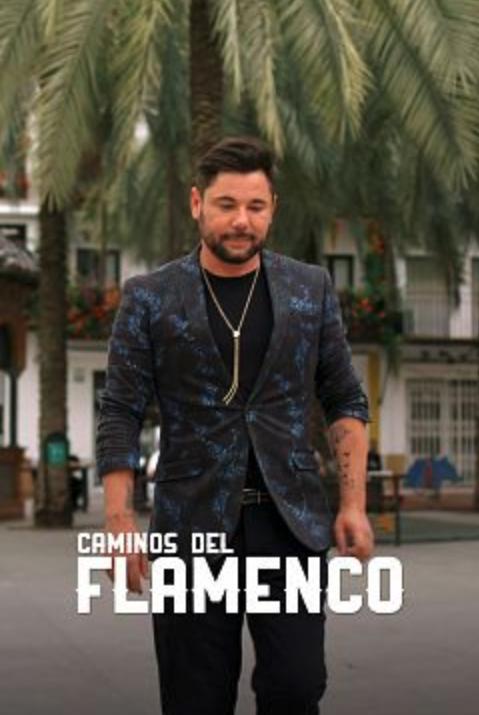 Caminos del flamenco