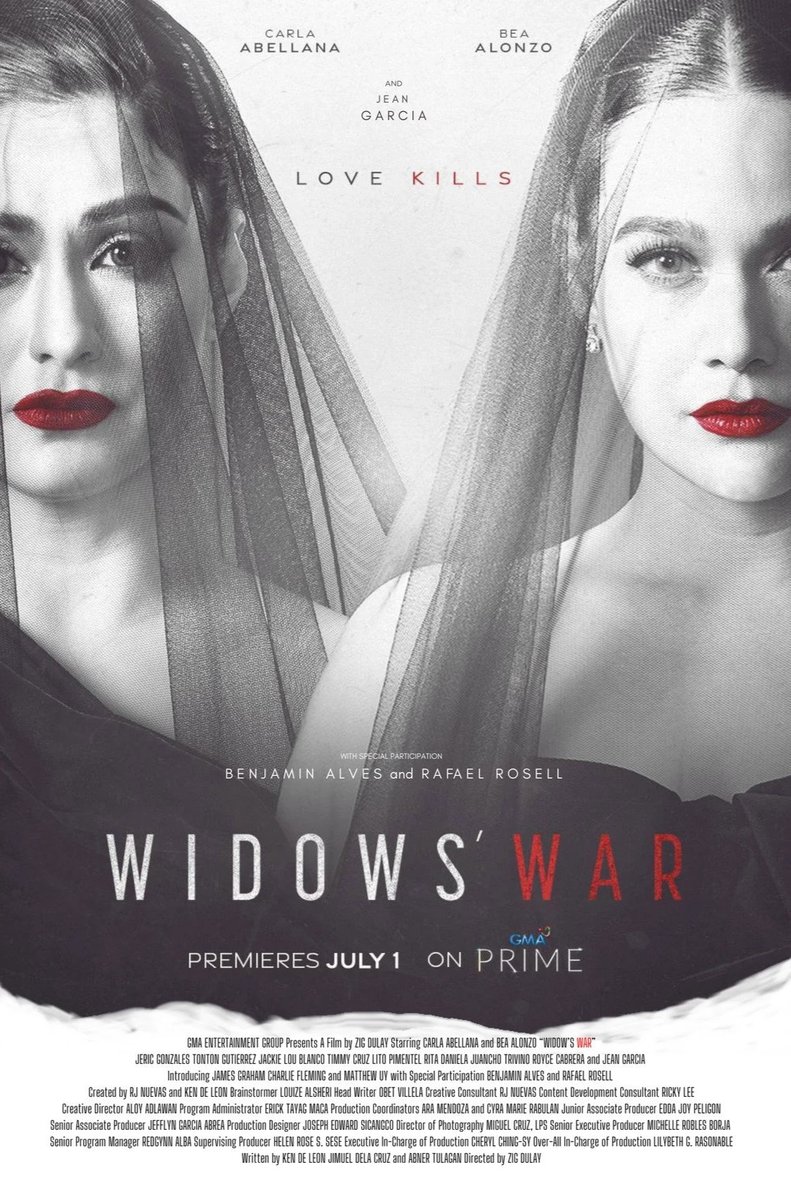Der Krieg der Witwe