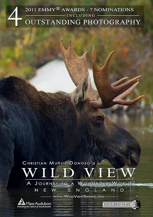 Wild View: A Journey to a Wondrous World