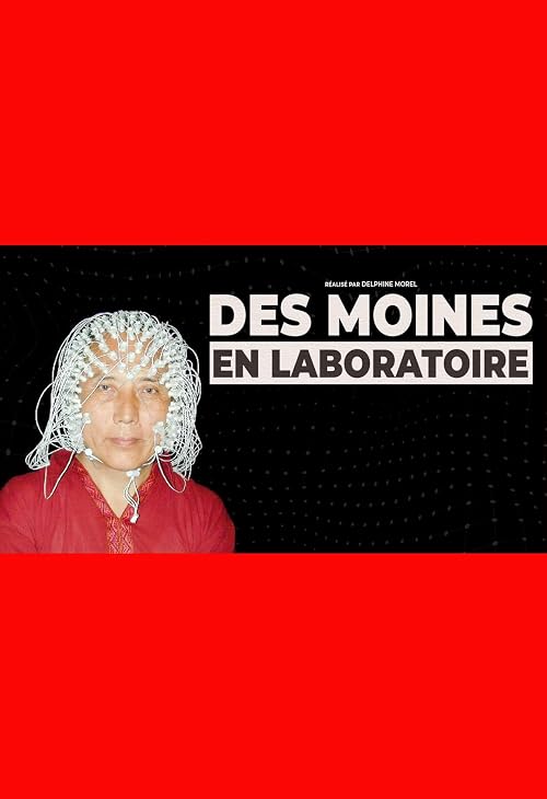 Des moines en laboratoire
