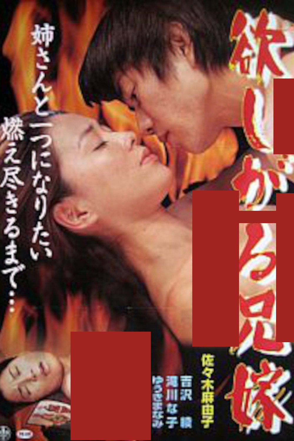 Hoshigaru aniyome