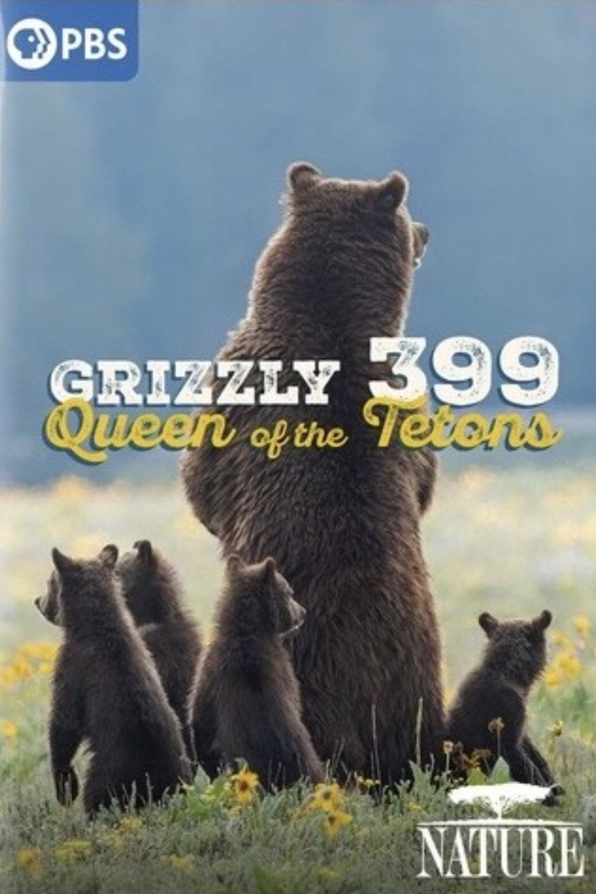 399 Queen of the Tetons