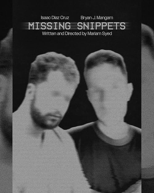 Missing Snippets