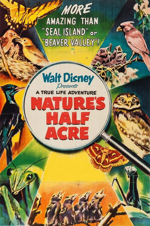 Пол-акра природы