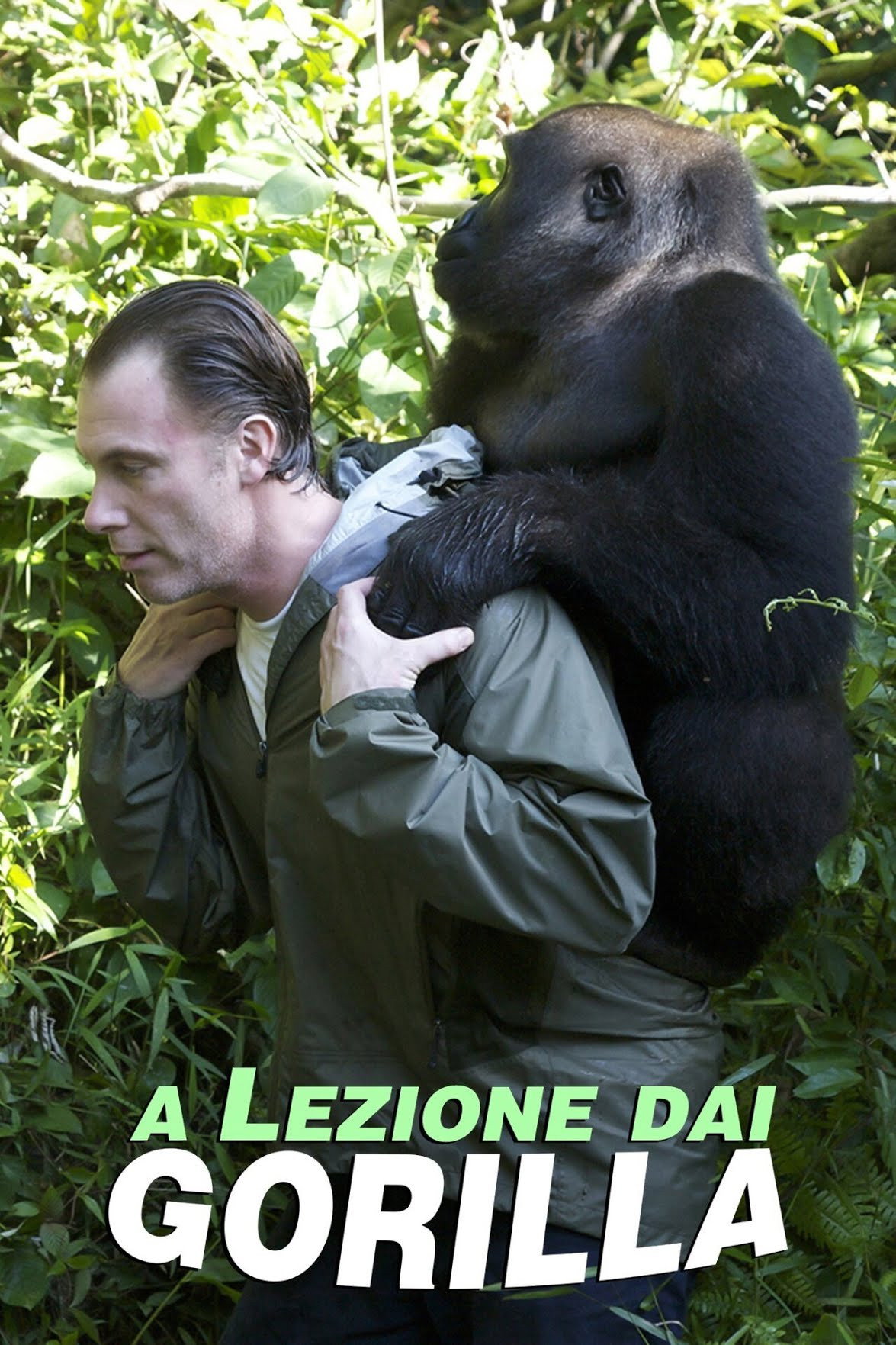 Gorilla School