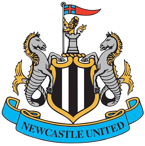 Newcastle United Season Review 2012-2013