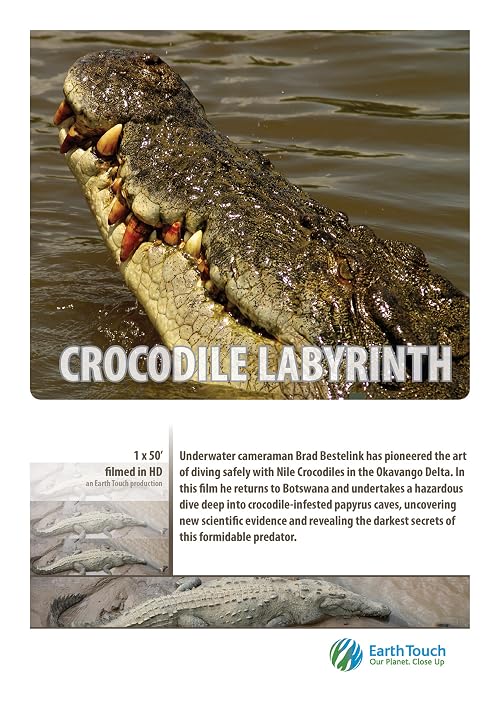 Croc Labyrinth