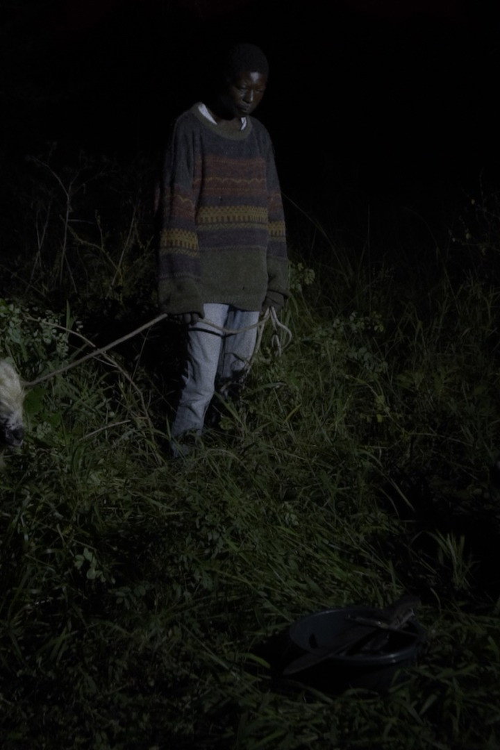As Noites Ainda Cheiram a Pólvora
