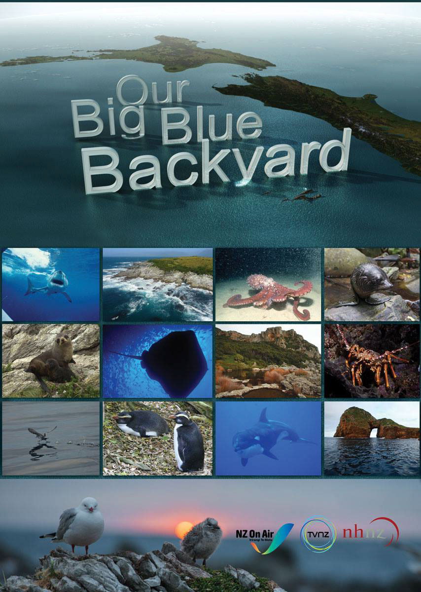 Our Big Blue Backyard