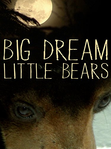 Big Dream Little Bears