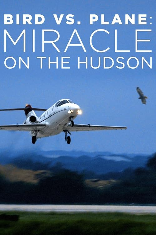 Bird vs. Plane: Miracle on the Hudson