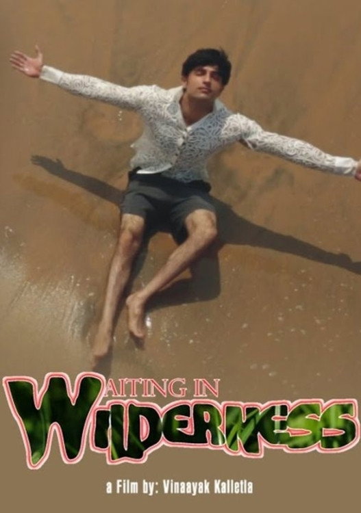 Waiting in Wilderness