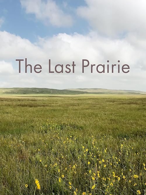 The Last Prairie