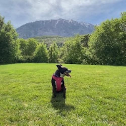 Ethan Travels