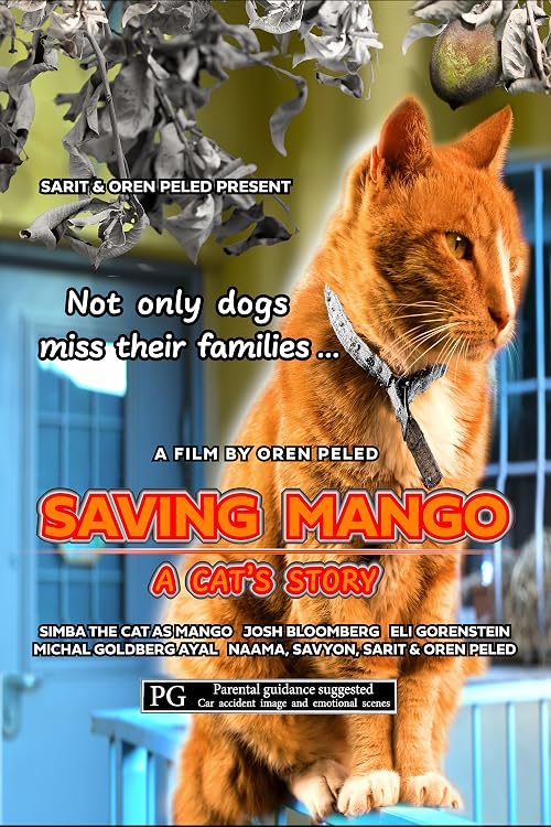 Saving Mango - A Cat's Story