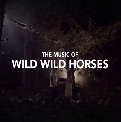 Wild Wild Horses