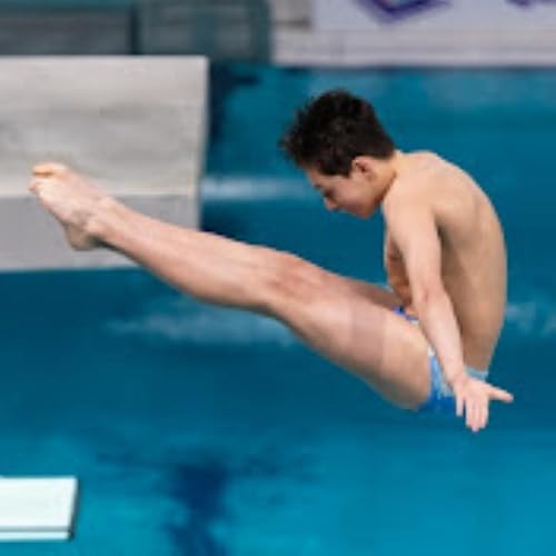 Eindhoven Diving Cup