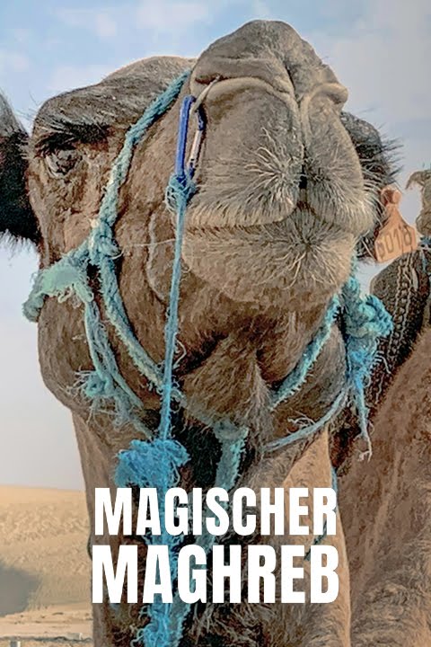 Magischer Maghreb