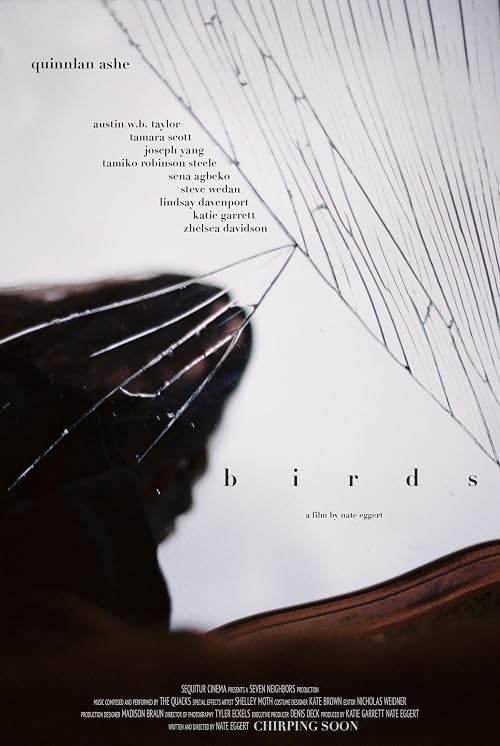 birds