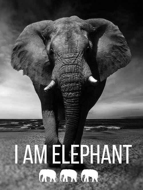 I Am Elephant