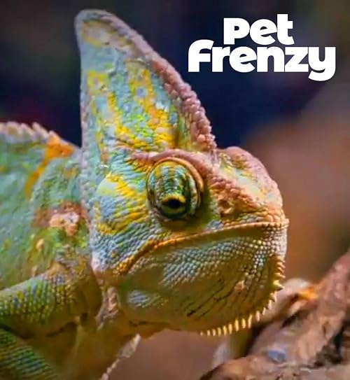 Pet Frenzy