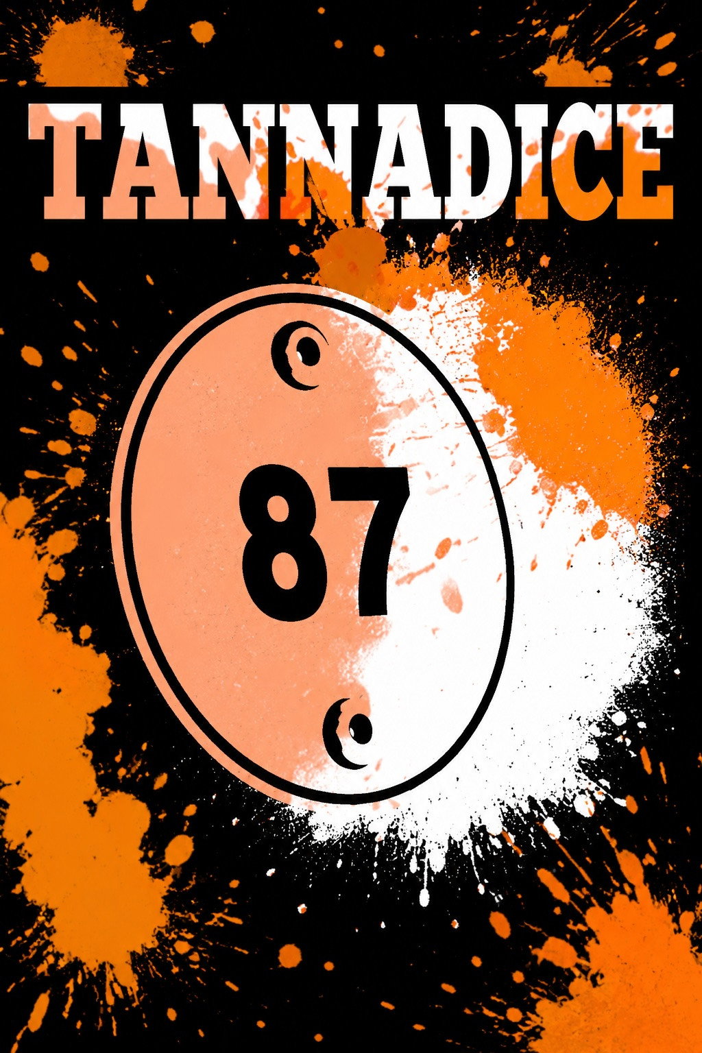 Tannadice 87
