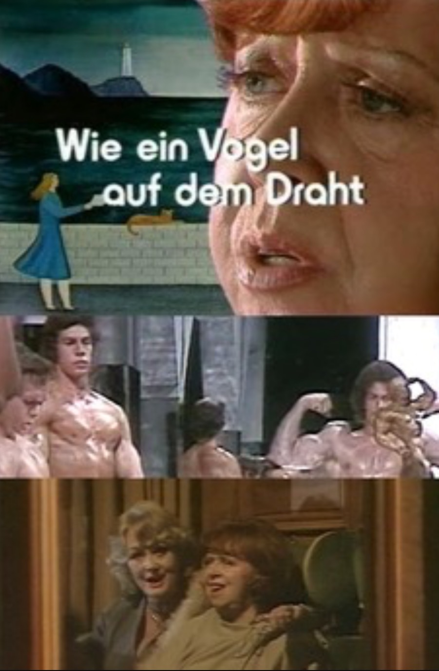 Wie ein Vogel auf dem Draht