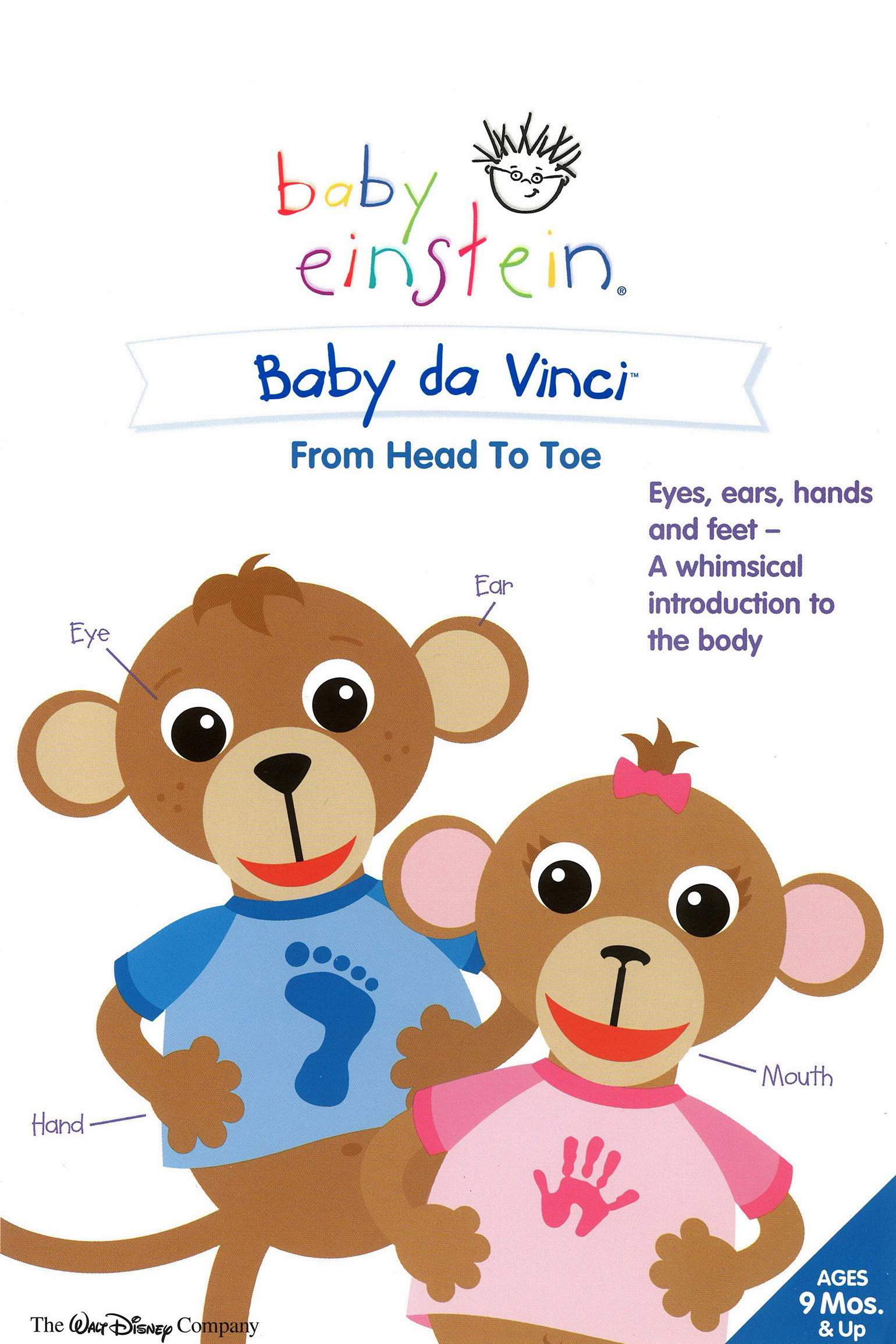 Baby Einstein: Baby Da Vinci from Head to Toe