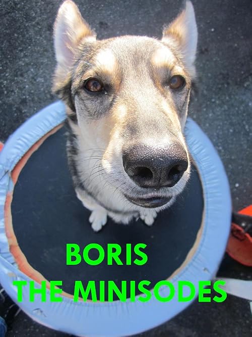 His Name Is Boris: The Minisodes