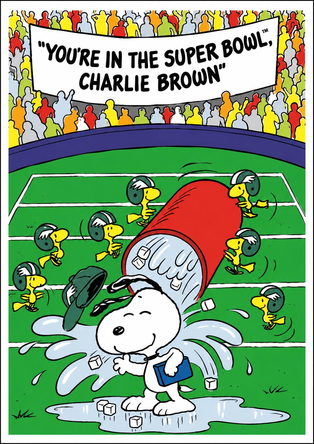 You're in the Super Bowl, Charlie Brown!