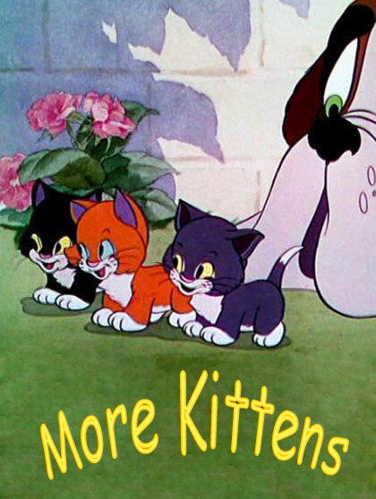 More Kittens