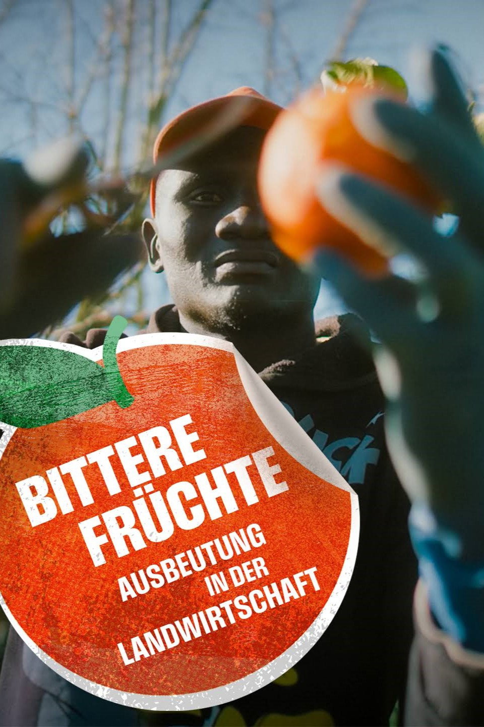 Bittere Früchte