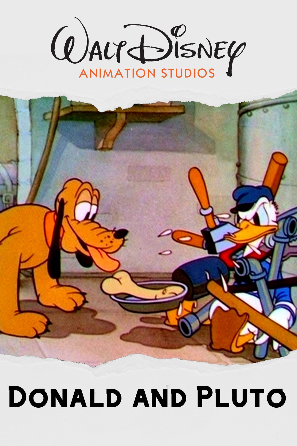 Дональд и Плуто