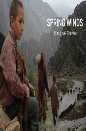 Spring Winds