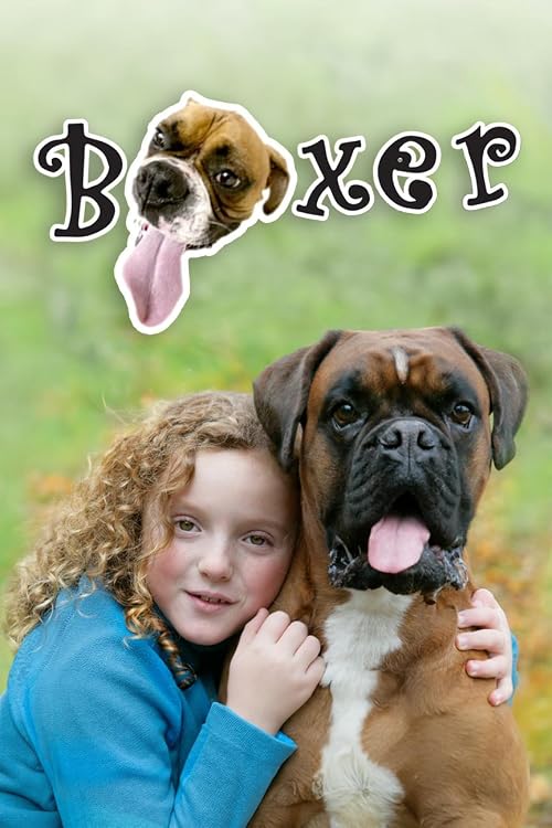 Boxer